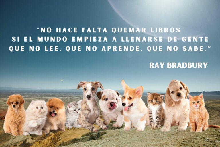 Hola, página en blanco: vengo a ensuciarte.