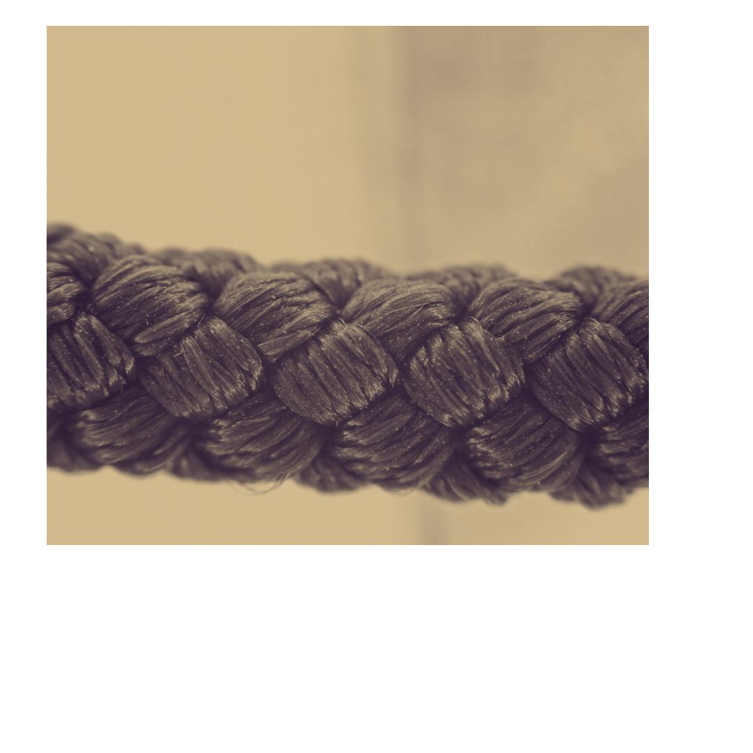 Esta cuerda refleja una escena especialmente importante para mí cuando hablo de mi opinión sobre "The Power of the Dog" de Jane Champion,